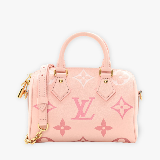 Louis Vuitton Bags