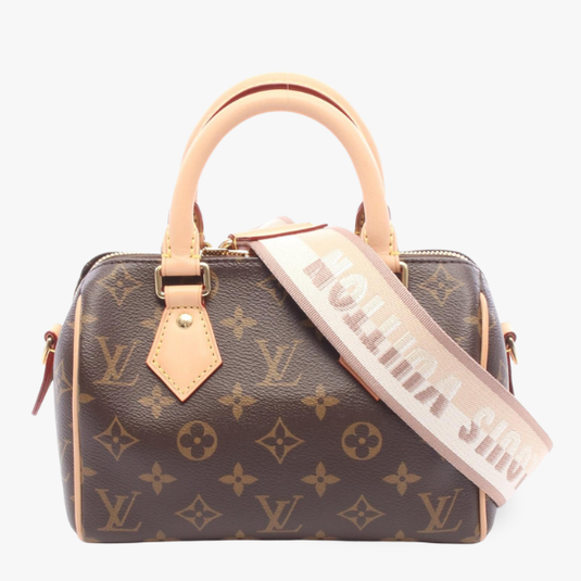 Louis Vuitton Speedy